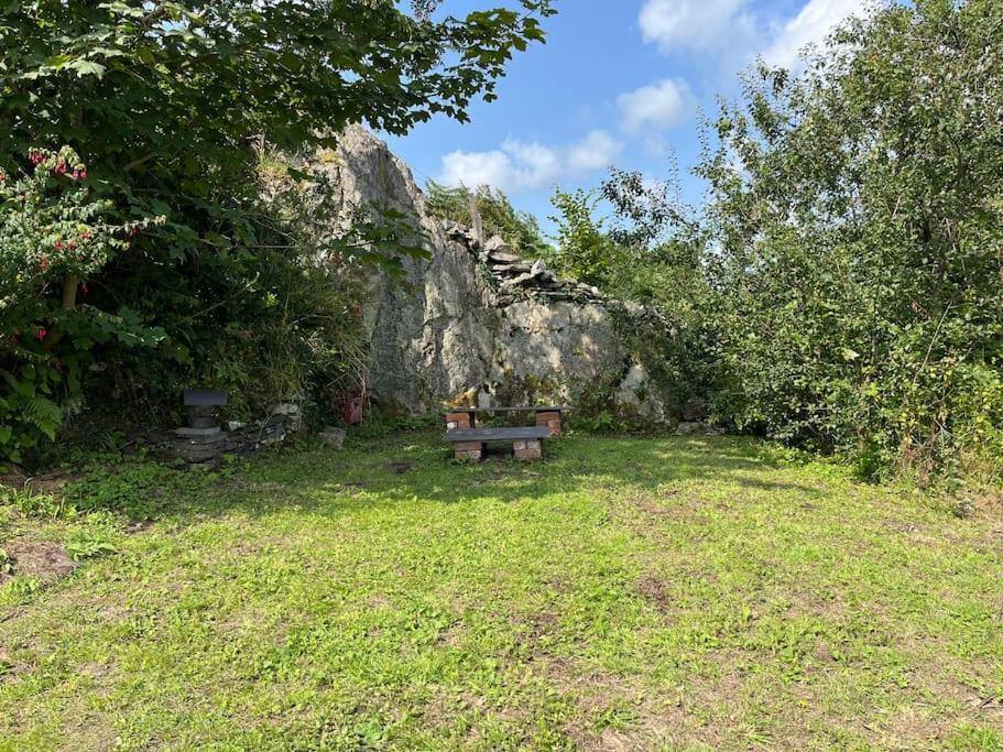 Bryn Rhedyn Cottage Cwm-y-glo Exterior photo